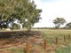 Photo - 12 Tallulah Avenue, Doreen VIC 3754 - Image 12