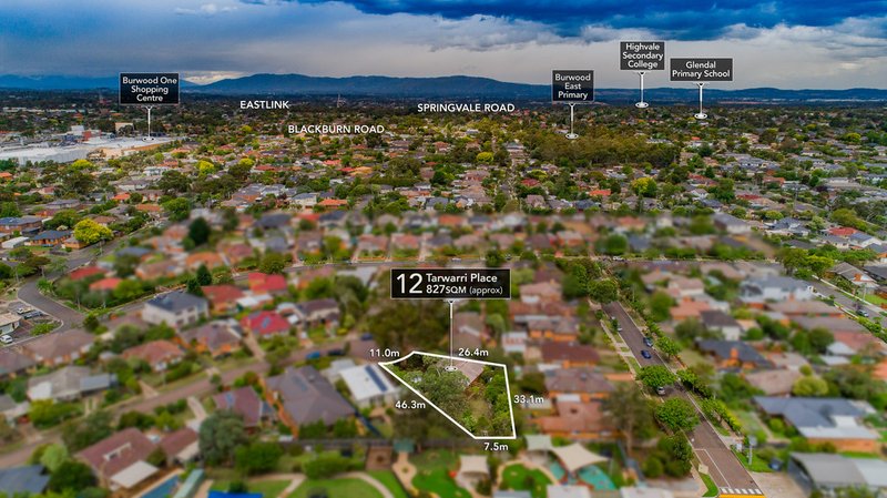 Photo - 12 Tarwarri Place, Burwood East VIC 3151 - Image 12