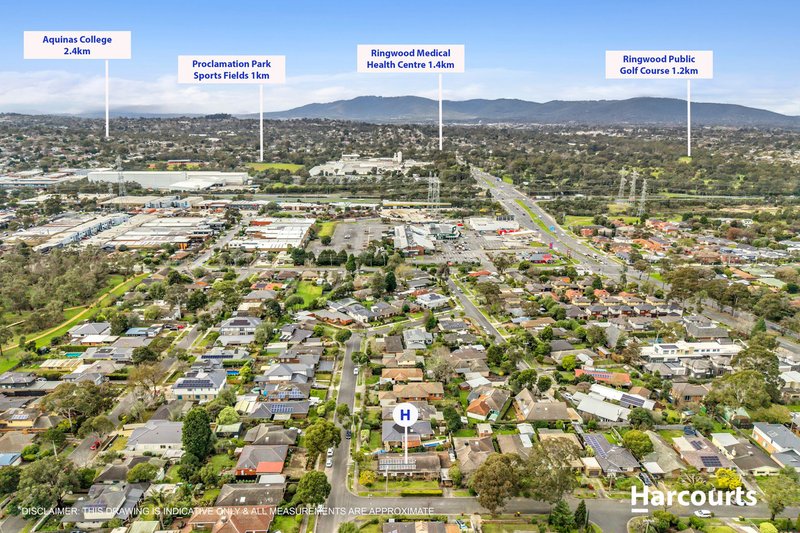 Photo - 12 Toomey Street, Vermont VIC 3133 - Image 9