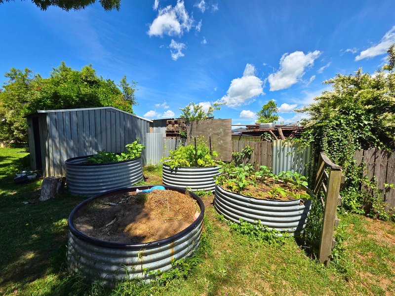 Photo - 12 Torrington Street, Glen Innes NSW 2370 - Image 10