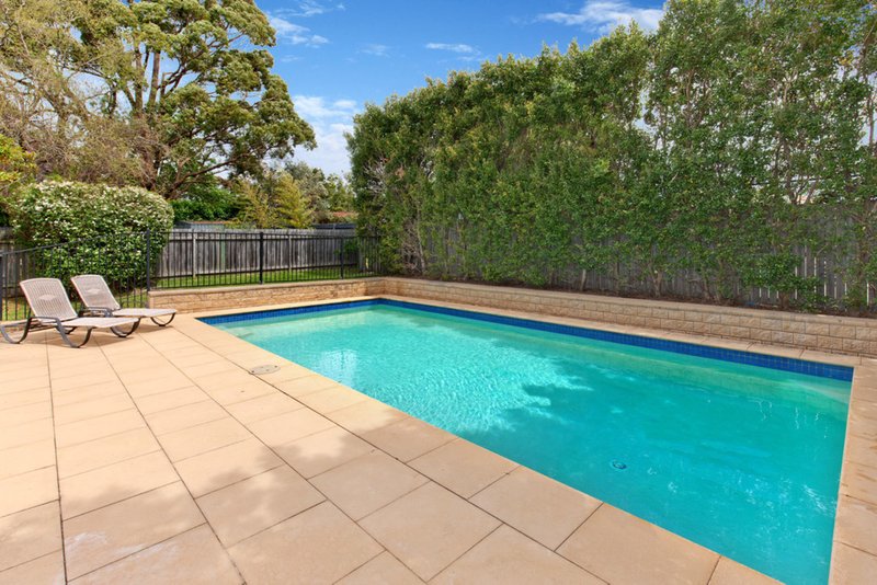 Photo - 12 Tyneside Avenue, Willoughby NSW 2068 - Image 2