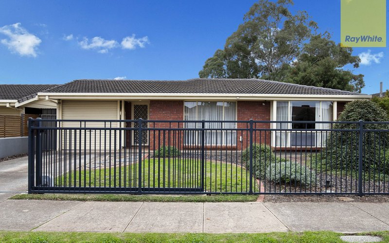 Photo - 12 Victoria Avenue, Camden Park SA 5038 - Image 13