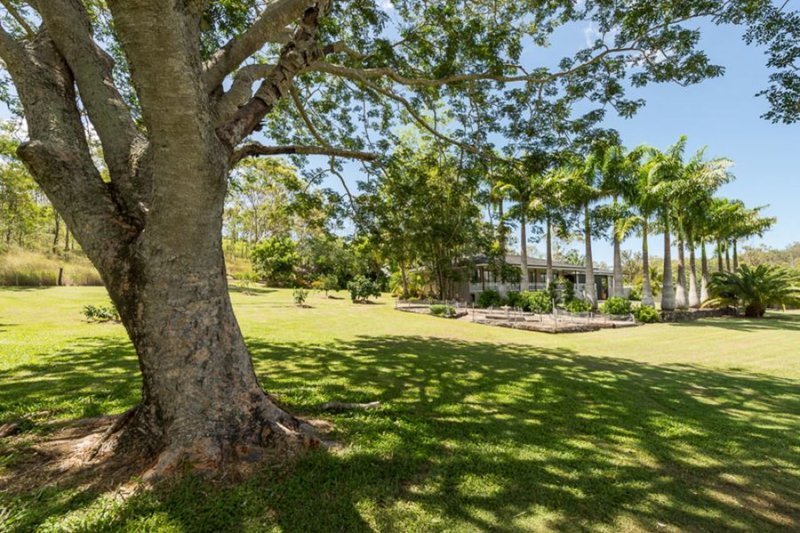 Photo - 12 Wakooka Drive, Wurdong Heights QLD 4680 - Image 24