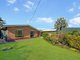 Photo - 12 Wakunai Close, Trinity Beach QLD 4879 - Image 2