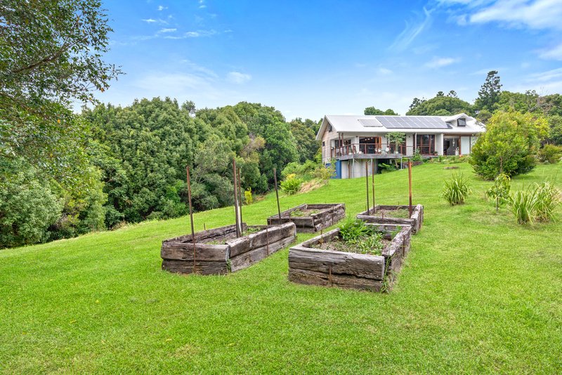 Photo - 12 Warri Way, Currumbin Valley QLD 4223 - Image 15