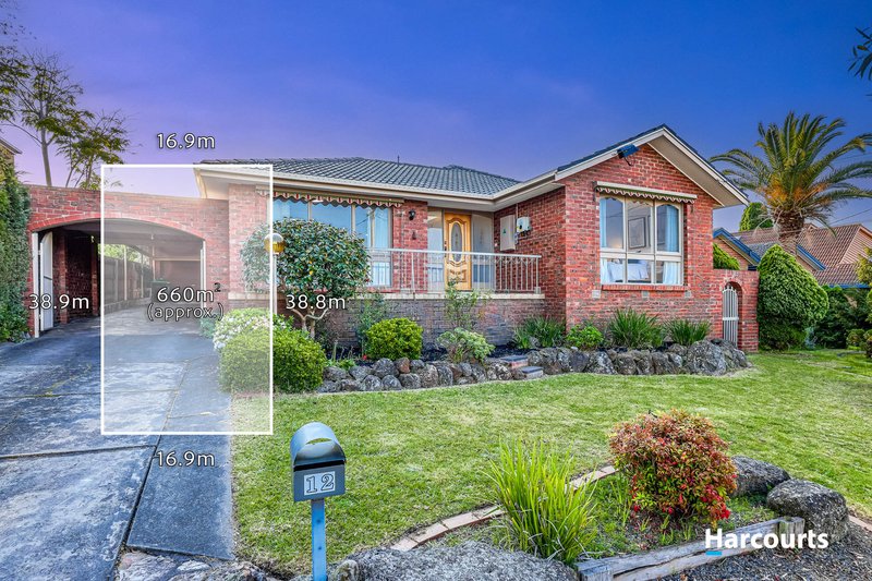 Photo - 12 Warrington Avenue, Vermont South VIC 3133 - Image 1