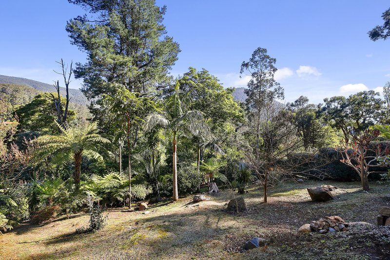 Photo - 12 Waterloo Avenue, Warburton VIC 3799 - Image 10