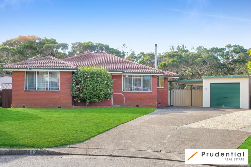 12 Whittle Avenue, Milperra NSW 2214