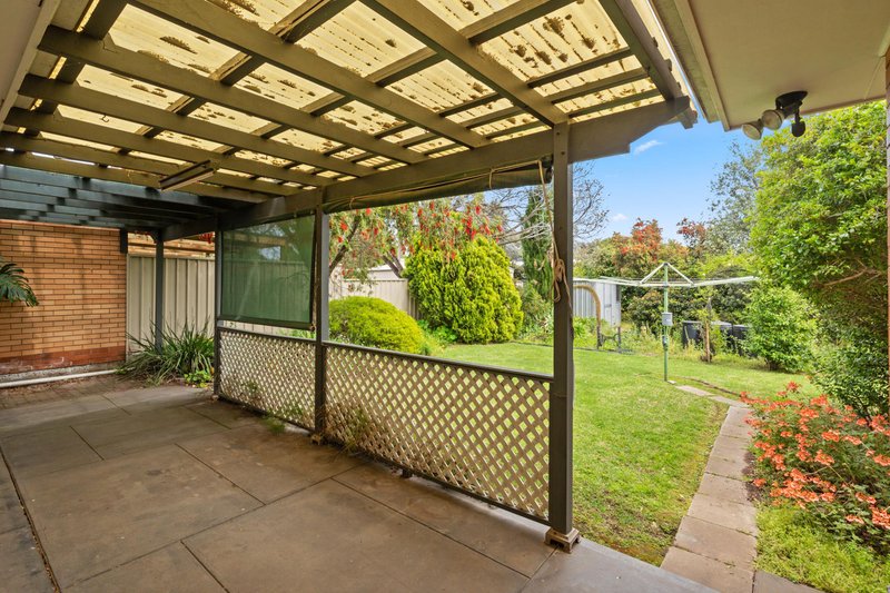 Photo - 12 William Street, Clarence Park SA 5034 - Image 10