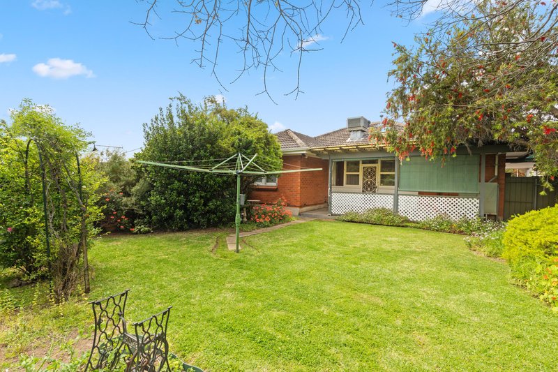 Photo - 12 William Street, Clarence Park SA 5034 - Image 11