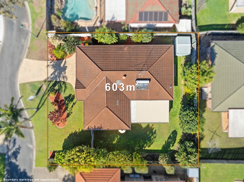 Photo - 12 Woodrow Place, Cleveland QLD 4163 - Image 3