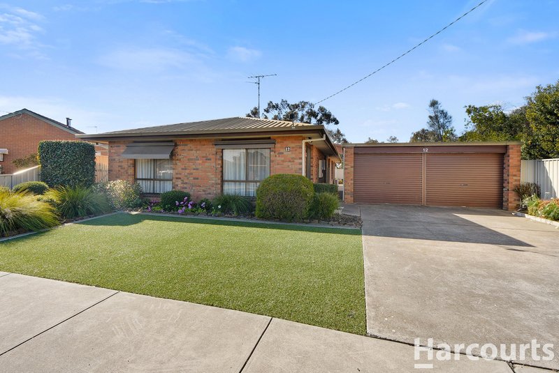 12 Wotonga Drive, Horsham VIC 3400