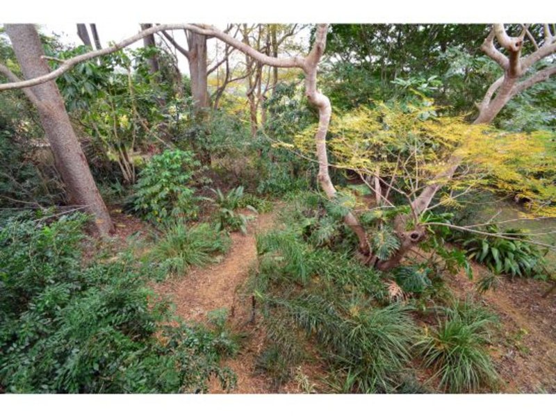 Photo - 12 Yarranabbe Street, Mount Gravatt East QLD 4122 - Image 13