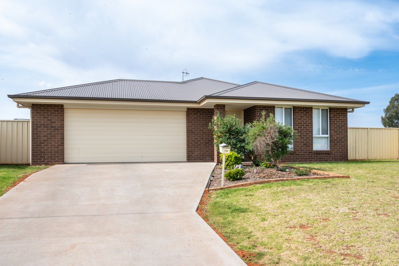 Photo - 12 Zirilli Avenue, Griffith NSW 2680 - Image 2