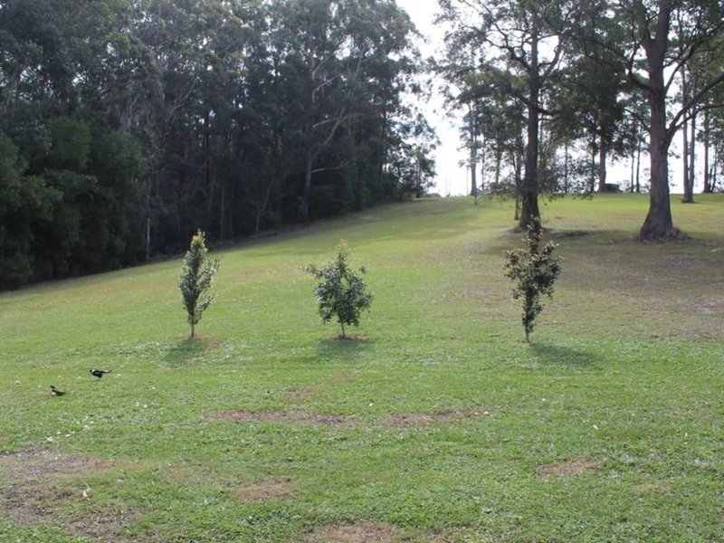 Photo - 120 Burkes Lane, Valla NSW 2448 - Image 7