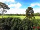 Photo - 120 Highfield Dr , Merrimac QLD 4226 - Image 5