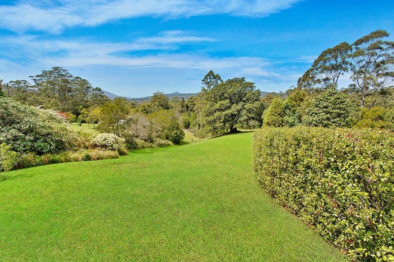 Photo - 120 Tallowood Lane, Hannam Vale NSW 2443 - Image 3