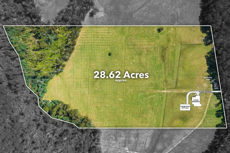 Photo - 1200 Gembrook-Tonimbuk Road, Tonimbuk VIC 3815 - Image 2