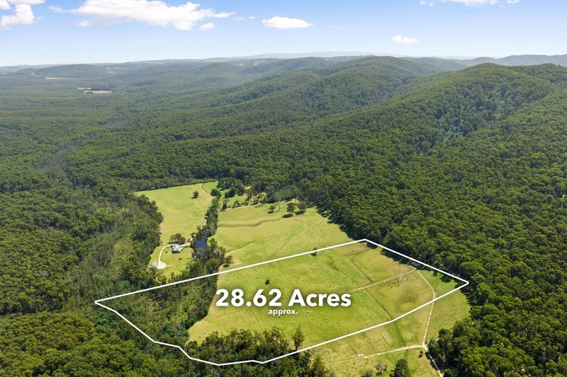 Photo - 1200 Gembrook-Tonimbuk Road, Tonimbuk VIC 3815 - Image 4