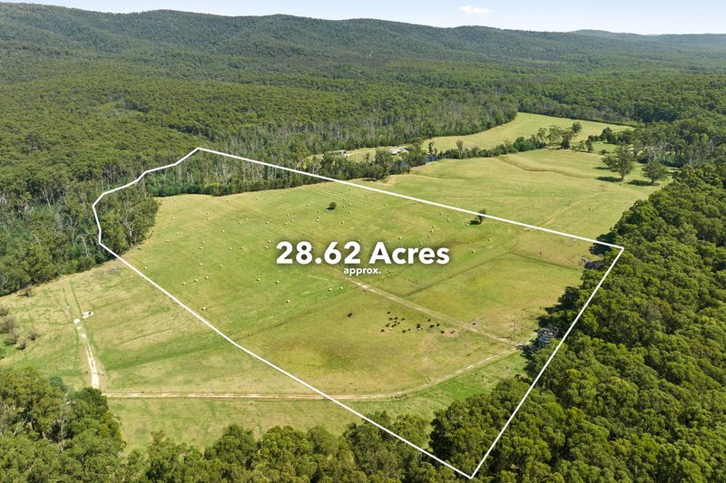 Photo - 1200 Gembrook-Tonimbuk Road, Tonimbuk VIC 3815 - Image 5