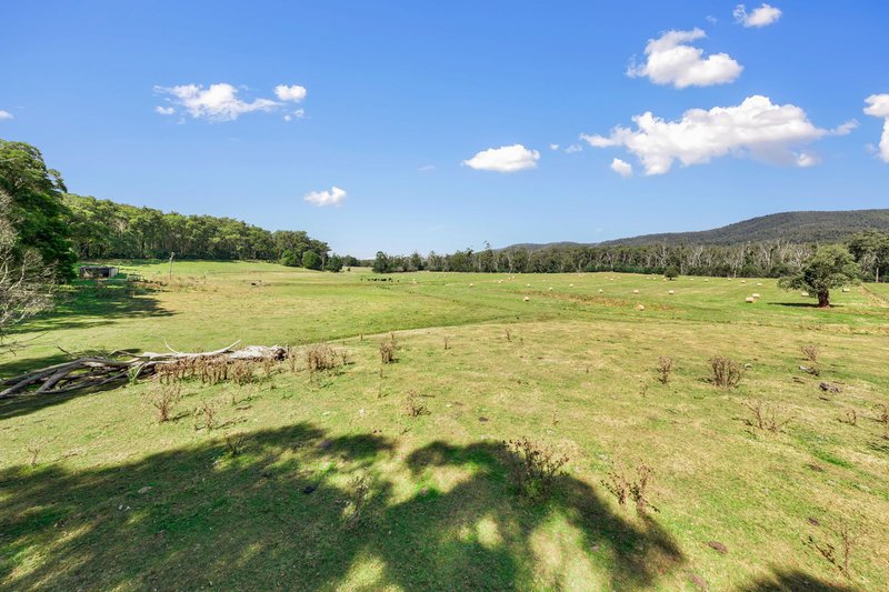 Photo - 1200 Gembrook-Tonimbuk Road, Tonimbuk VIC 3815 - Image 9