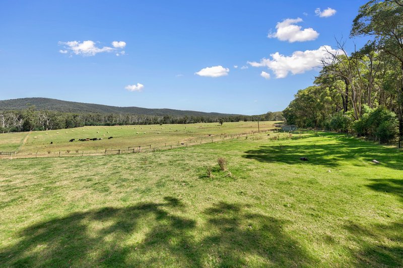 Photo - 1200 Gembrook-Tonimbuk Road, Tonimbuk VIC 3815 - Image 11