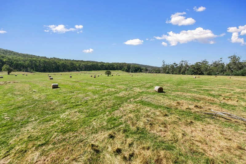 Photo - 1200 Gembrook-Tonimbuk Road, Tonimbuk VIC 3815 - Image 12