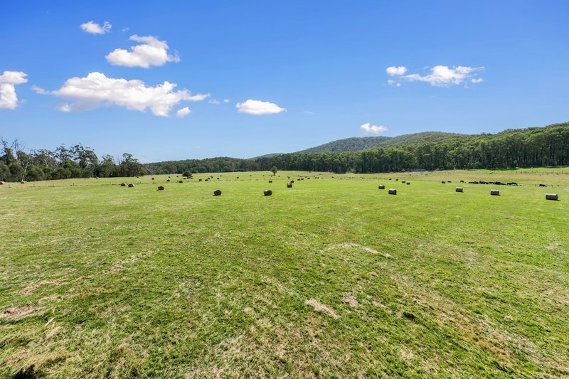 Photo - 1200 Gembrook-Tonimbuk Road, Tonimbuk VIC 3815 - Image 13