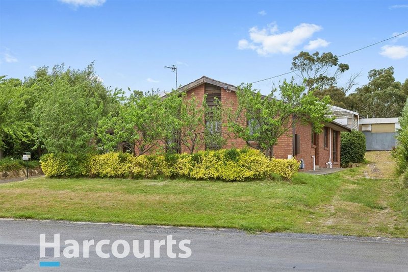 Photo - 1206 Havelock Street, Ballarat North VIC 3350 - Image 2