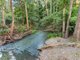 Photo - 1207 Kandanga Creek Road, Upper Kandanga QLD 4570 - Image 1