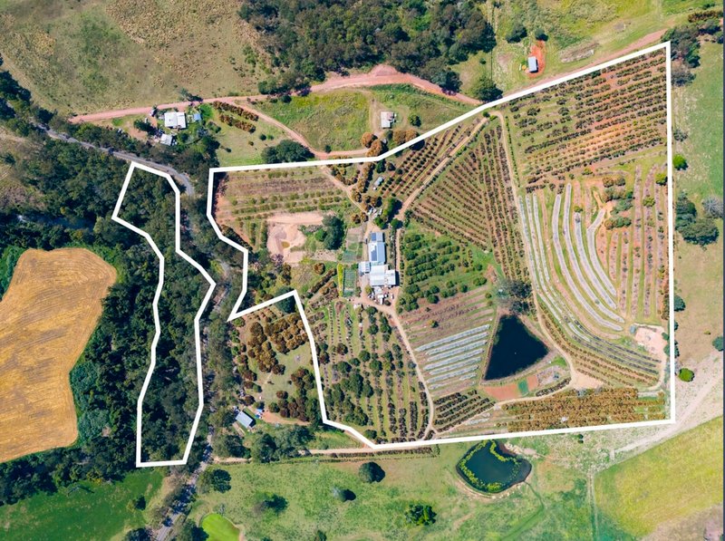 Photo - 1207 Kandanga Creek Road, Upper Kandanga QLD 4570 - Image 18