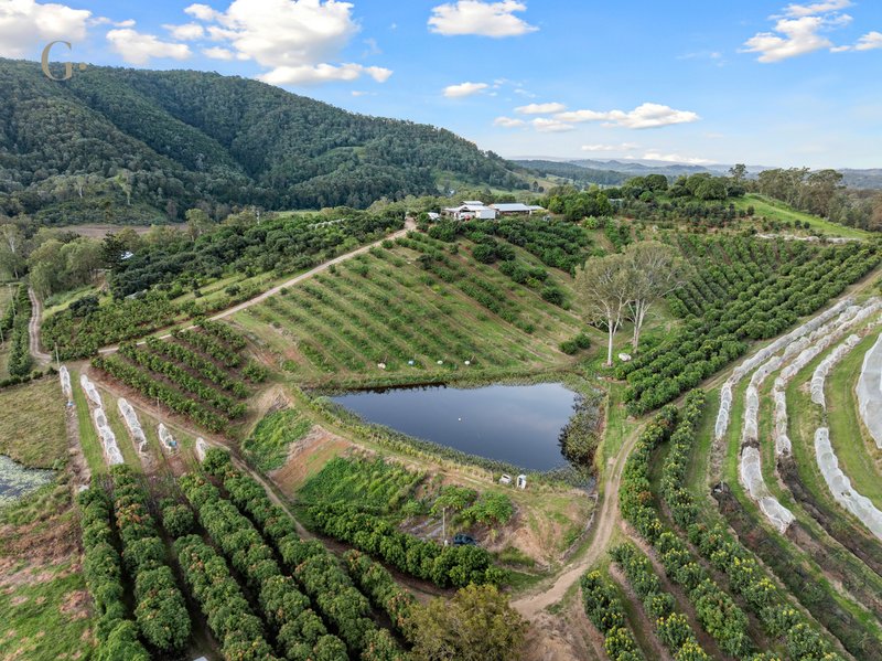 Photo - 1207 Kandanga Creek Road, Upper Kandanga QLD 4570 - Image 21