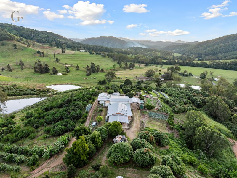 Photo - 1207 Kandanga Creek Road, Upper Kandanga QLD 4570 - Image 23