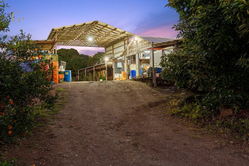 Photo - 1207 Kandanga Creek Road, Upper Kandanga QLD 4570 - Image 25