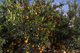Photo - 1207 Kandanga Creek Road, Upper Kandanga QLD 4570 - Image 32