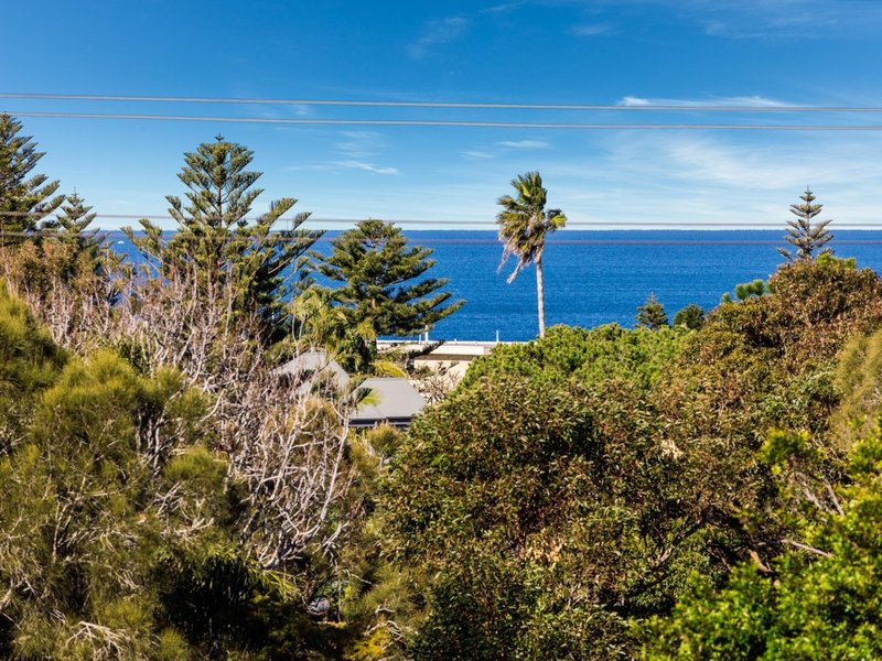 Photo - 121 Barrenjoey Road, Mona Vale NSW 2103 - Image 6