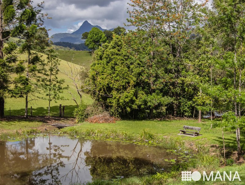 Photo - 121 Blackwoods Road, Nobbys Creek NSW 2484 - Image 22