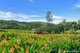 Photo - 121 Douglas Track, Speewah QLD 4881 - Image 8