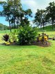 Photo - 121 Group Road, Devereux Creek QLD 4753 - Image 11