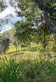 Photo - 121 Needham Road, Luscombe QLD 4207 - Image 18