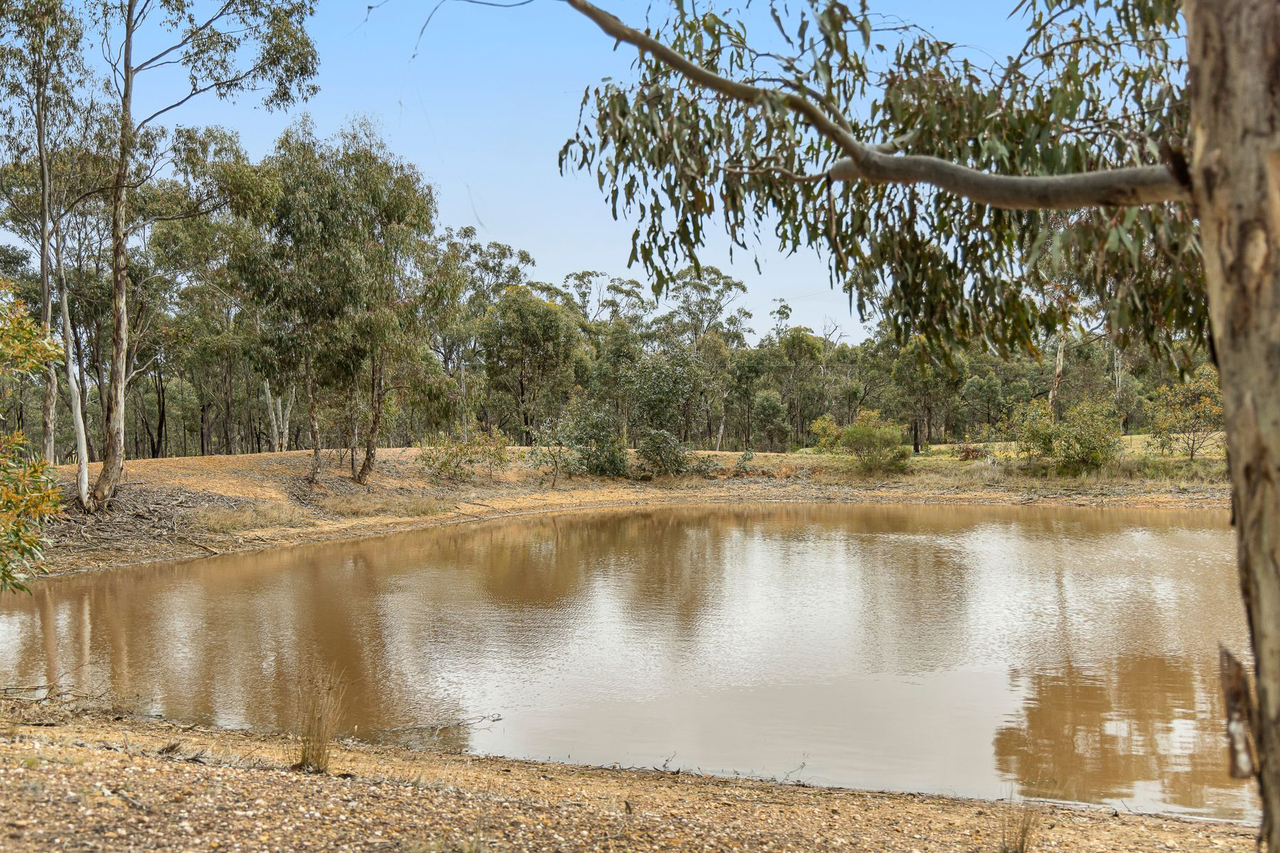 4-bedroom house at 121 Pinchgut Lane, Shelbourne, VIC 3515, Loddon, Victoria