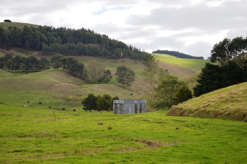 Photo - 1214 Bena-Kongwak Road, Kongwak VIC 3951 - Image 8