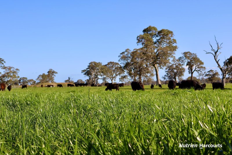 Photo - 1214 Warrock Road, Wando Bridge VIC 3312 - Image 13