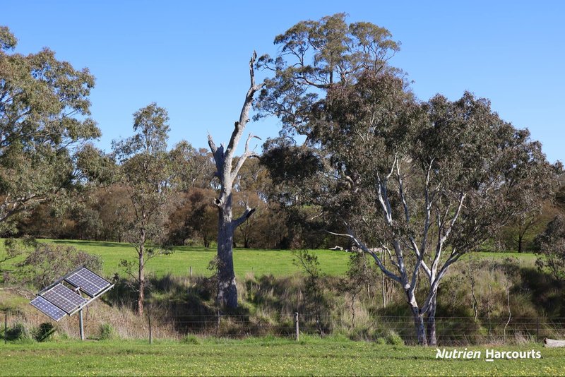 Photo - 1214 Warrock Road, Wando Bridge VIC 3312 - Image 16