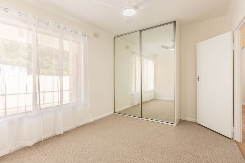 Photo - 1/217 Belair Road, Torrens Park SA 5062 - Image 5