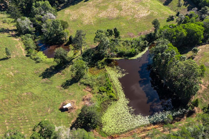 Photo - 122 Lehman Road, Traveston QLD 4570 - Image 27