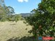 Photo - 122 Lions Road, Cougal Via , Kyogle NSW 2474 - Image 23