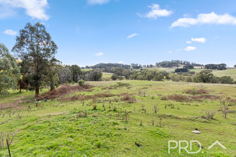 Photo - 122 Mayday Road, Batlow NSW 2730 - Image 14