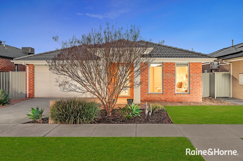 Photo - 122 Nelson Street, Cranbourne East VIC 3977 - Image 1