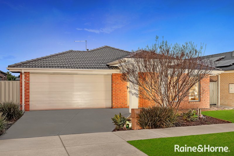 Photo - 122 Nelson Street, Cranbourne East VIC 3977 - Image 2